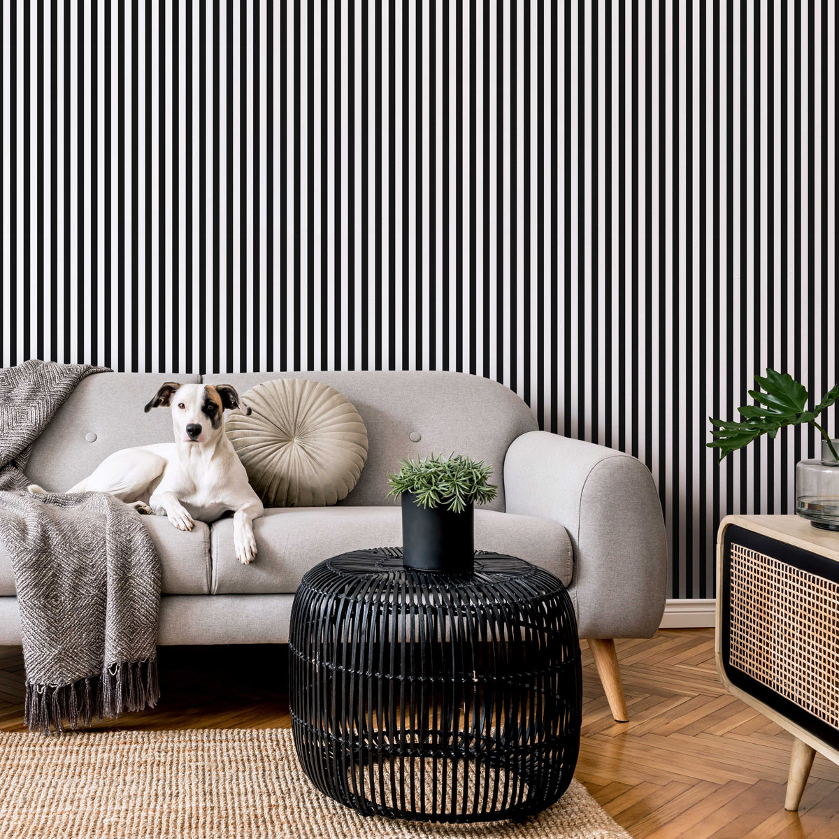 Hypnotize Wallpaper in Mono Lust Home