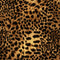 Lady Leopard Wallpaper in Authentic Brown and Black