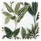 Paradiso Fabric in Leaf Green