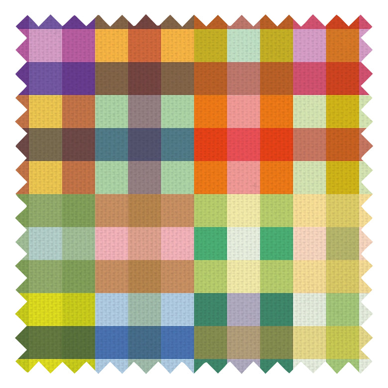 Picnic in the Park Fabric in Rainbow Brights