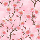Hanami Blossom Wallpaper in Soft Pink