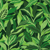 Honolulu Wallpaper in Vivid Greens