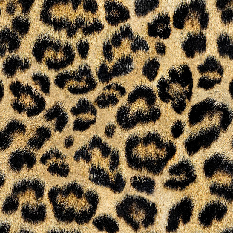 Sample of Fur-real Leopard Wallpaper in Margay Black and Ocelot Brown