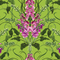 Forbidden Foxglove Wallpaper in Lime and Purple