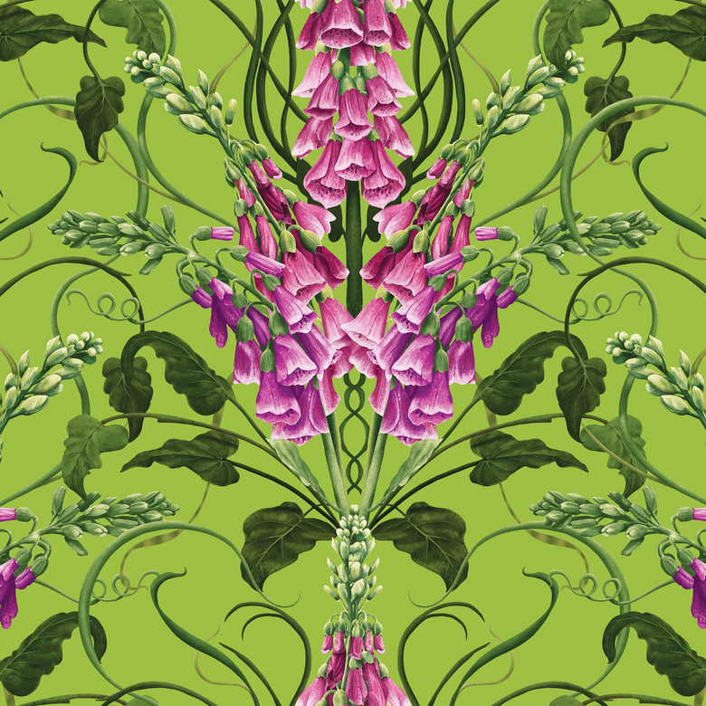 Forbidden Foxglove Wallpaper in Lime and Purple