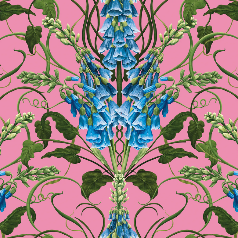 Forbidden Foxglove Wallpaper in Pink and Blue