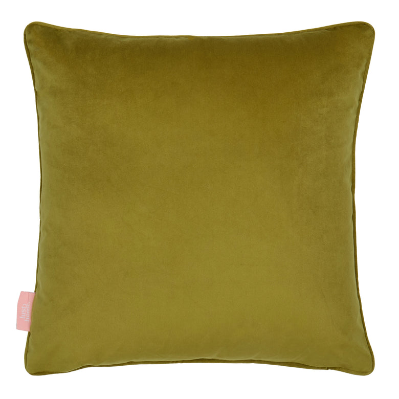 Mad for Matisse Square Cushion in Walnut, Wasabi on Teal
