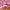 files/PutaBowonit_CandyPink_Roomset_LH900600.webp