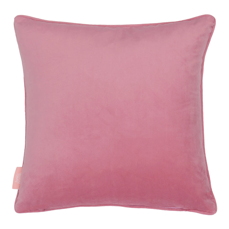 Wild Thing Square Cushion in Brights