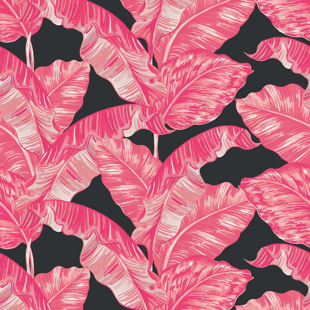 Sample of Under The Banana Tree Wallpaper in Hot Pink and Charcoal