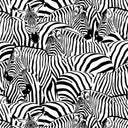 Crowded Zebras Wallpaper