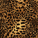 Lady Leopard Wallpaper in Authentic Brown and Black