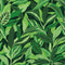 Sample of Honolulu Wallpaper in Vivid Greens